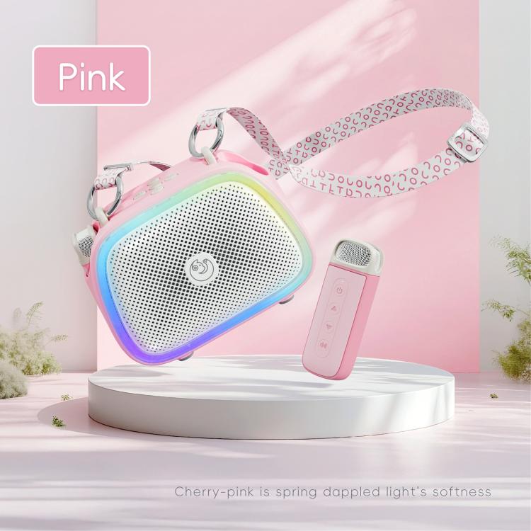 C22 Portable Karaoke Wireless Speaker with Microphone and Shoulder Strap