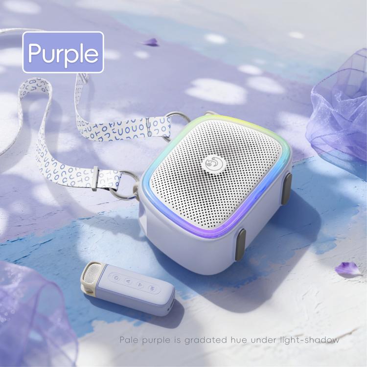 C22 Portable Karaoke Wireless Speaker with Microphone and Shoulder Strap