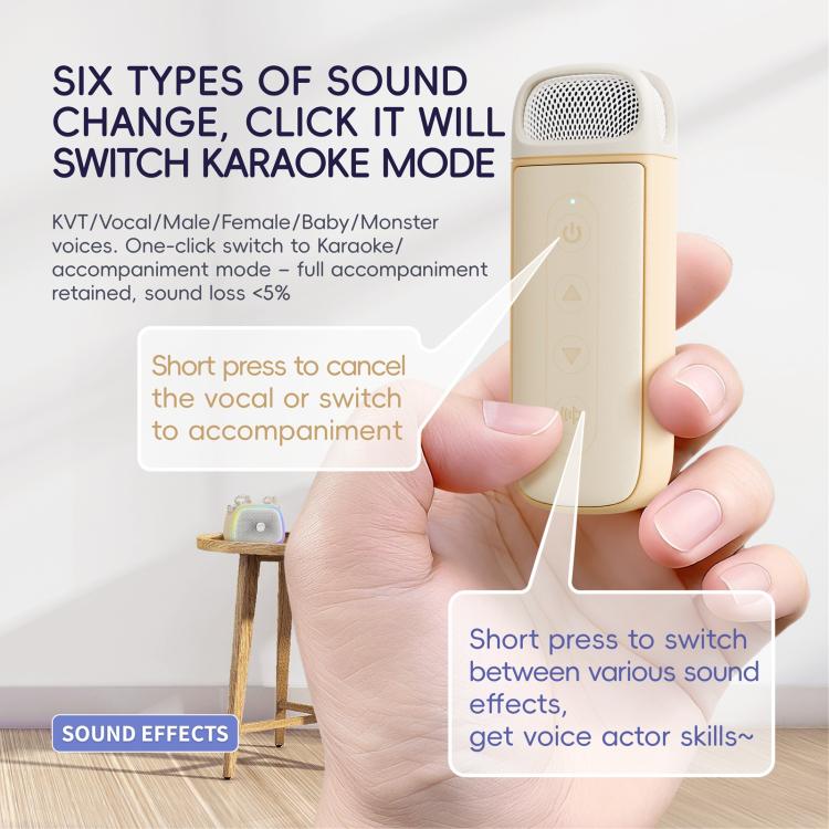 C22 Portable Karaoke Wireless Speaker with Microphone and Shoulder Strap