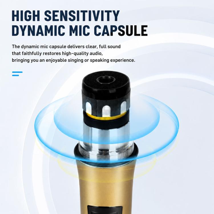 G4D 4-Channel Multi-function Professional Bluetooth Mixer with Amplifier & Microphone, Standard Black Microphone, Standard Gold Microphone, Rechargeable Microphone